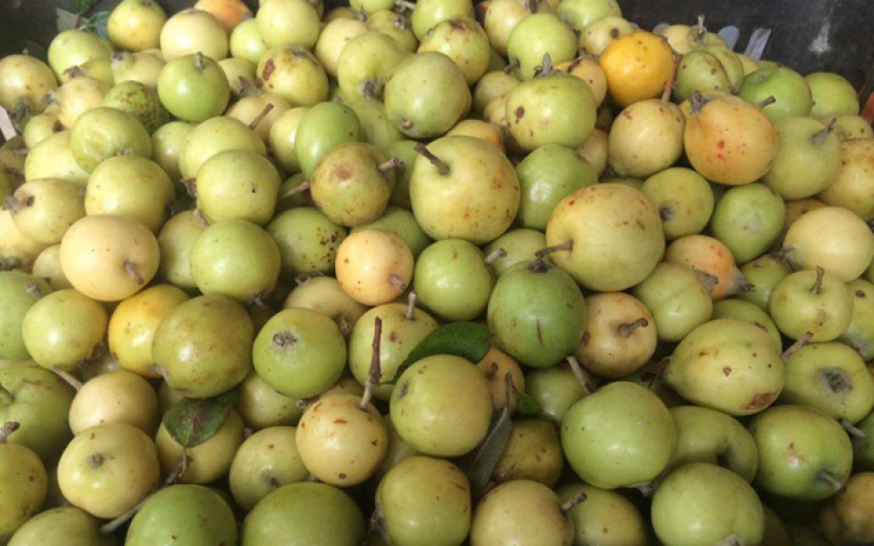 nhung thuc pham cam ky doi voi nguoi huyet ap thap