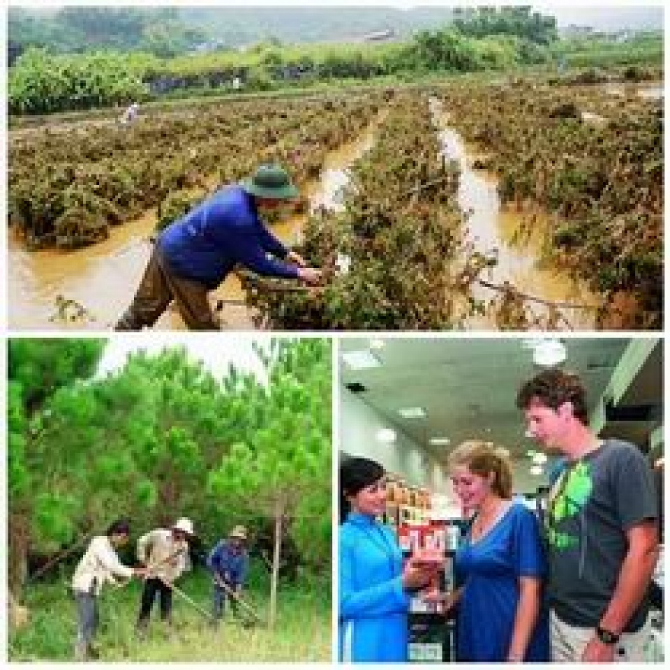 Chính sách mới có hiệu lực từ tháng 2/2017 chinh sach moi co hieu luc tu thang 22017