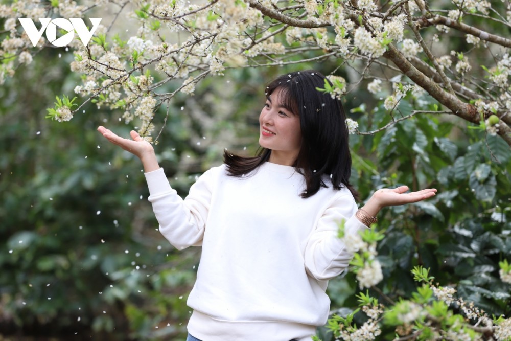 Du khách thích thú lưu lại những khoảnh khắc đẹp tại vườn mận.