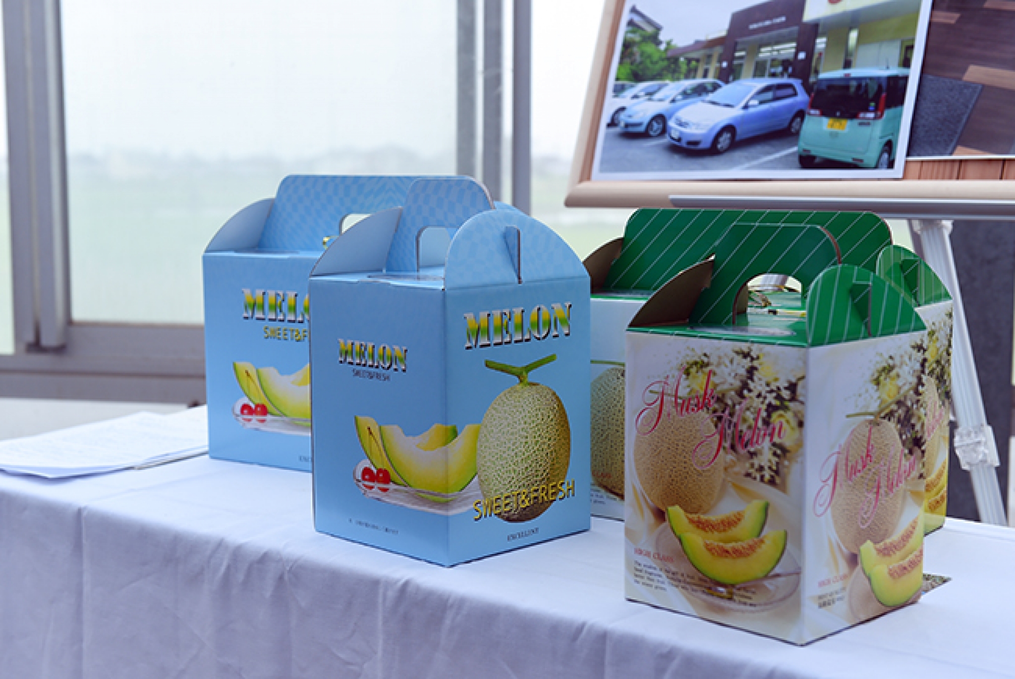 Thủ tướng thăm nông trại công nghệ cao ở Yokoyama thu tuong tham nong trai cong nghe cao o yokoyama