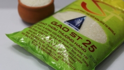 Cơ quan Thương vụ Việt Nam phản hồi thông tin về vụ gạo ST 25 bị đăng ký nhãn hiệu tại Australia