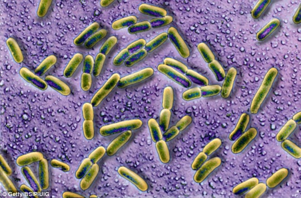 my them benh nhan nhiem sieu vi khuan