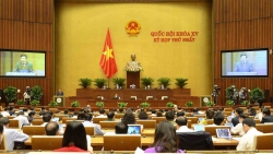 Phó Thủ tướng Phạm Bình Minh: Tăng trưởng kinh tế đạt 5,64% là mức khá cao so với các nước trên thế giới