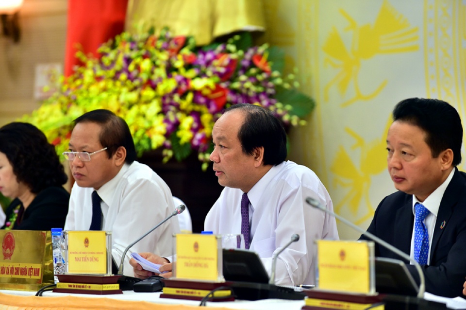 da so truong hop xin thoi quoc tich la co dau viet nam