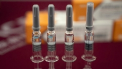 Thủ tướng Ấn Độ hứa cấp vaccine Covid-19 cho cả thế giới