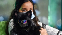 Quán cà phê đầu tiên dành cho chó tại Saudi Arabia