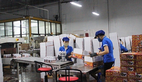 Đóng gói sản phẩm nước giải khát Super Horse ở nhà máy của Công ty TNHH Chaichareon Việt - Thái. (Nguồn: Báo Quảng Trị)