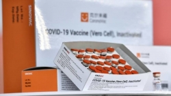 Covid-19: Singapore bổ sung chế độ tiêm 3 liều vaccine của Sinovac vào chương trình tiêm chủng quốc gia