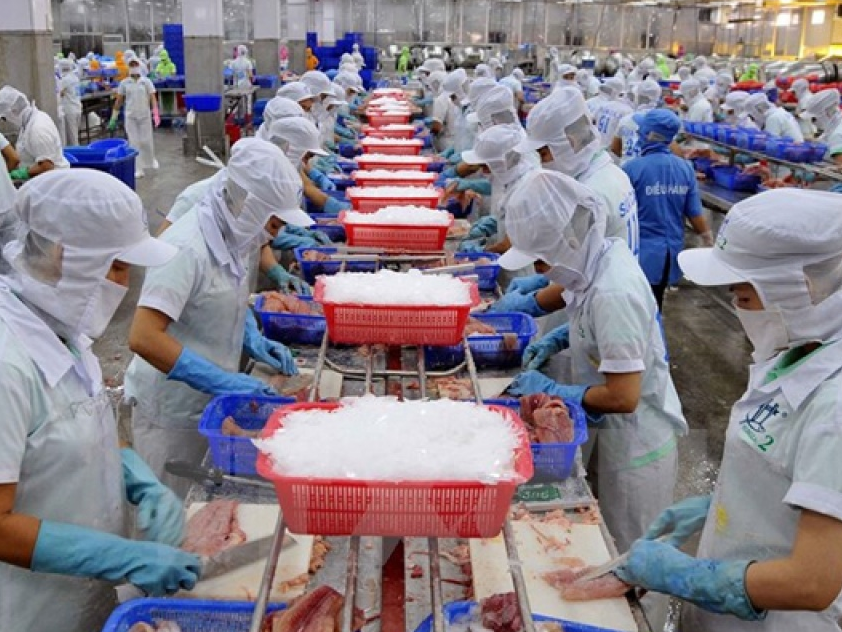 nam 2017 nhan dien 7 thach thuc doi voi nganh thuy san