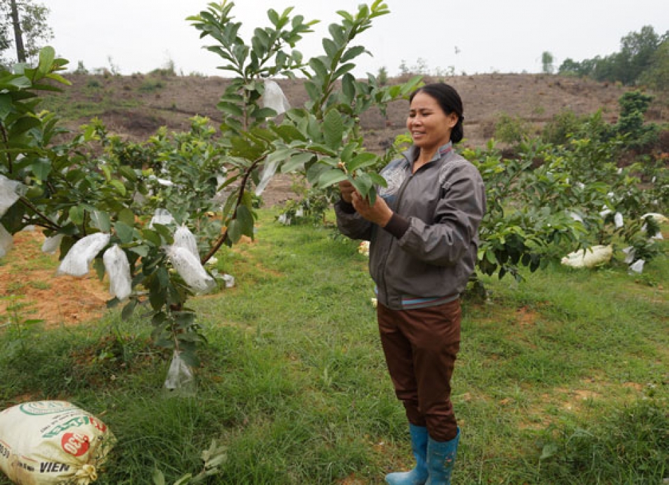 ra mat chuong trinh ho tro nong dan phat trien san xuat