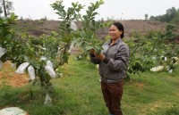 tin nhap 20190203183502