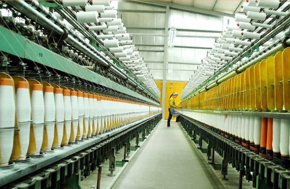 det may vao mua boi thu