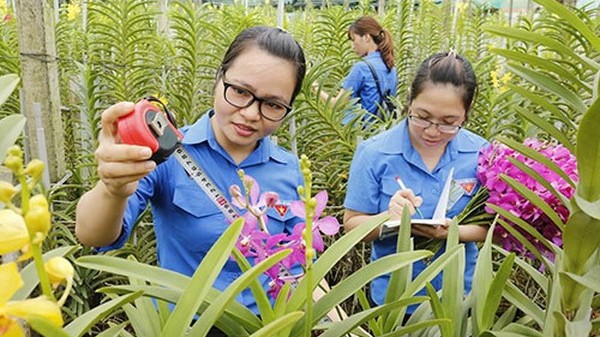 thuc day su tham gia cua thanh nien trong phat trien va khoi nghiep