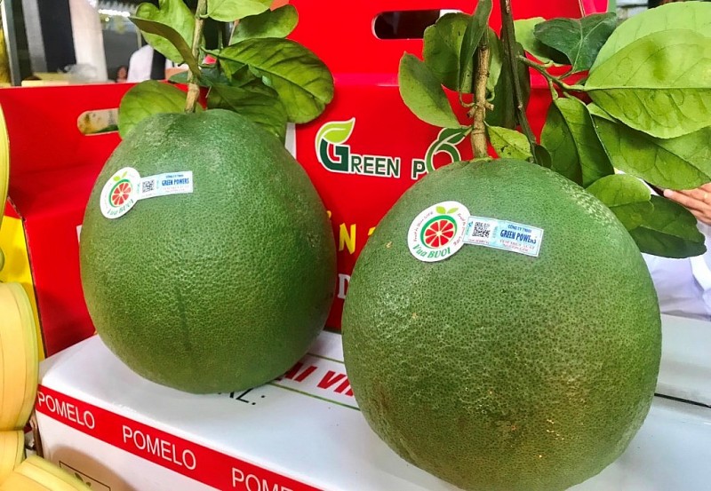 Xuất khẩu ngày 3-7/1: