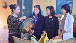 ADB hỗ trợ doanh nghiệp vừa và nhỏ Việt Nam do phụ nữ làm chủ