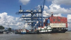 Xuất khẩu ngày 15-17/1: Nông sản 