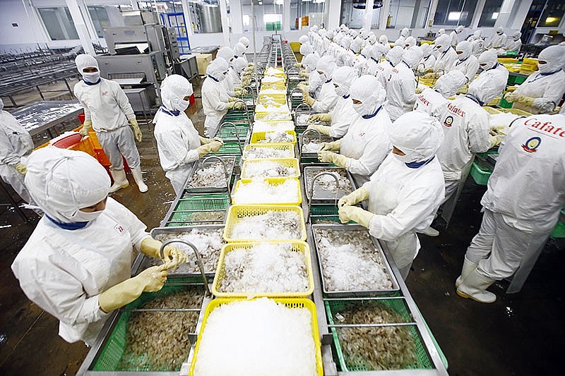 Đặt nền tảng để kinh tế trở lại lộ trình tăng trưởng