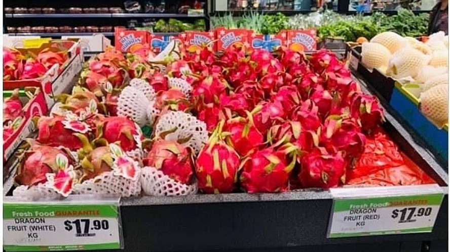 xuat khau ngay 22241 tac bien thanh long viet bay sang australia nhap sieu bat ngo quay tro lai