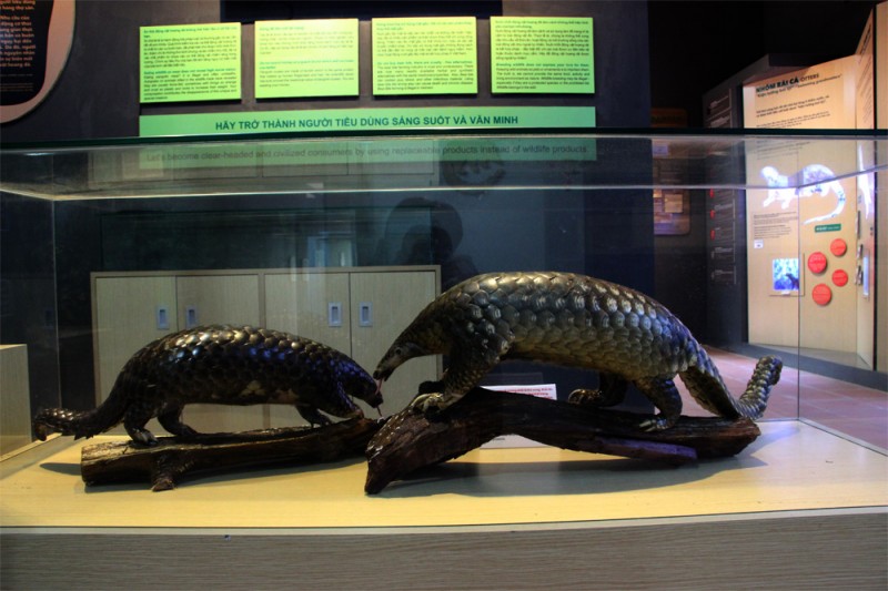 viet nam lan dau tien co trung tam giao duc va bao ton te te