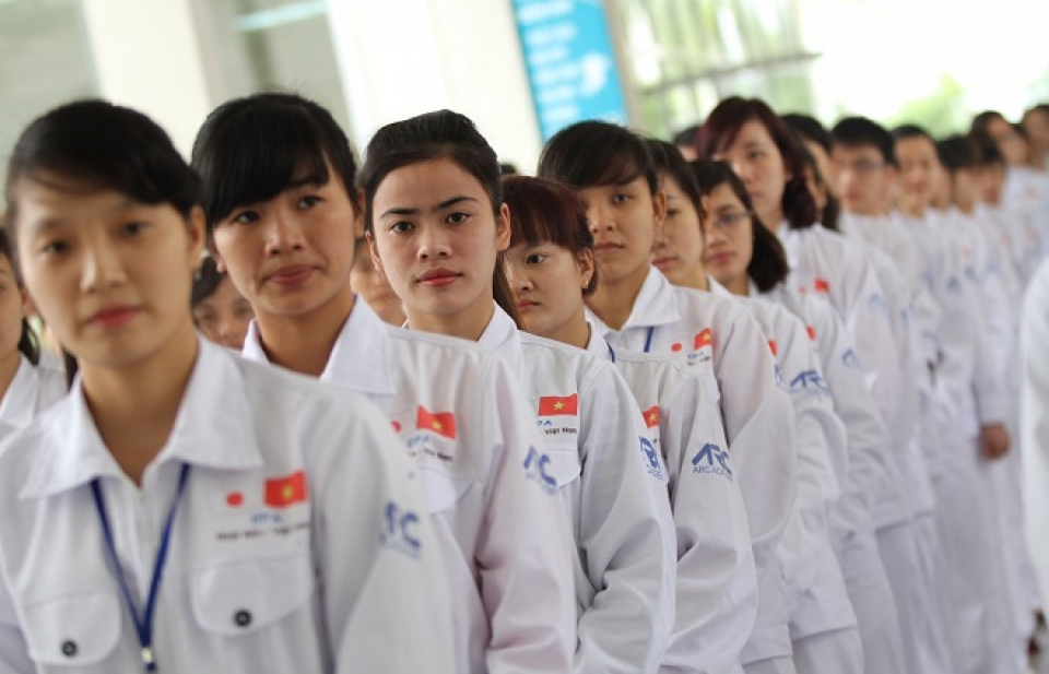 canh bao lua dao nguoi lao dong di nhat lam viec bang visa ti nan