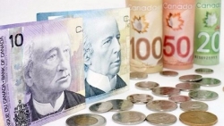 Đồng nội tệ của Canada sẽ tiếp tục lên giá so với USD
