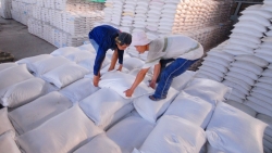 Khuyến cáo doanh nghiệp thực hiện đúng các quy định khi xuất khẩu gạo sang Indonesia