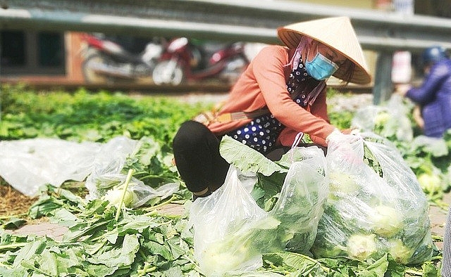 Bộ Công Thương thông tin về những điểm 'chưa phù hợp' khiến nông sản Hải Dương bị ách tắc