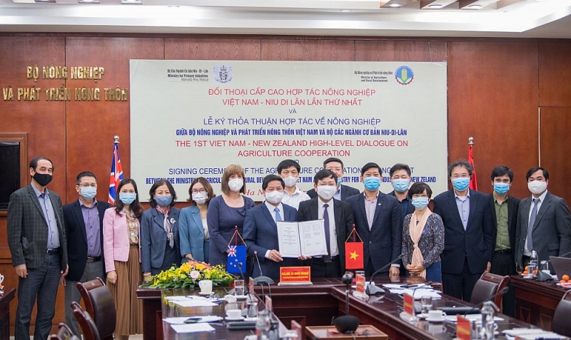 Chanh và bưởi Việt Nam sẽ sớm có mặt tại thị trường New Zealand