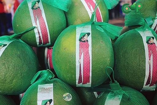 Chanh và bưởi Việt Nam sẽ sớm có mặt tại thị trường New Zealand