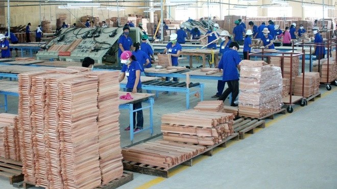 phong ve thuong mai se la giai phap then chot de bao ve doanh nghiep nam 2022