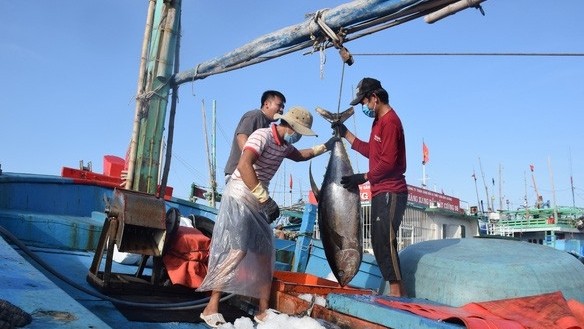 Nga, EU và Nhật Bản đua nhau 'săn lùng' một loại mặt hàng thủy sản Việt Nam, xuất khẩu tăng vọt