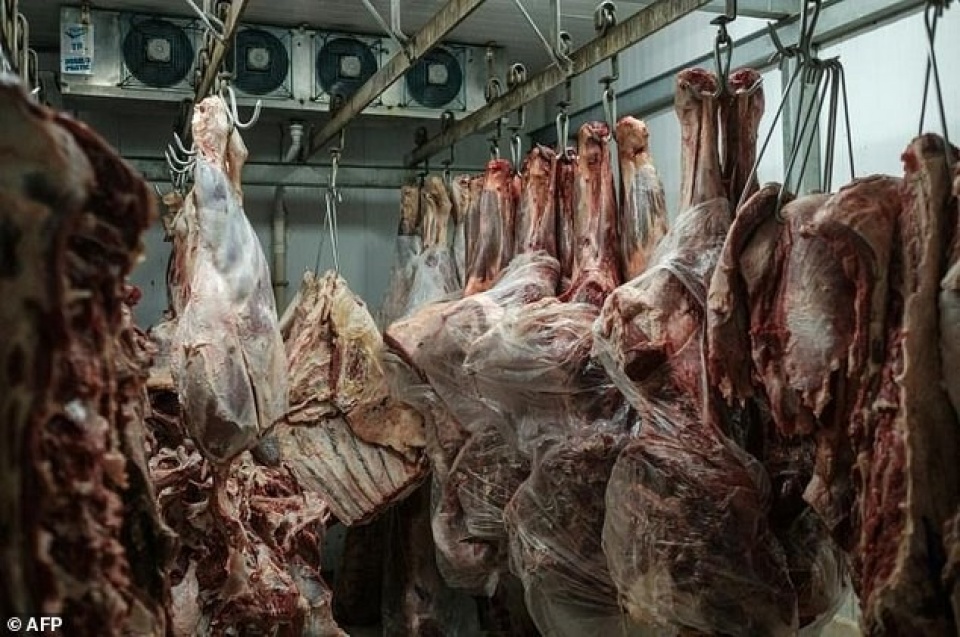 Xuất khẩu của Brazil có nguy cơ suy giảm khoảng 3,5 tỷ USD xuat khau cua brazil co nguy co suy giam khoang 35 ty usd