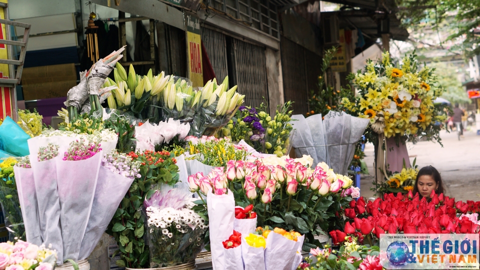 thi truong 83 hoa la gia chat van hut khach