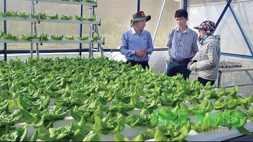 dak nong day manh ho tro he sinh thai khoi nghiep doi moi sang tao