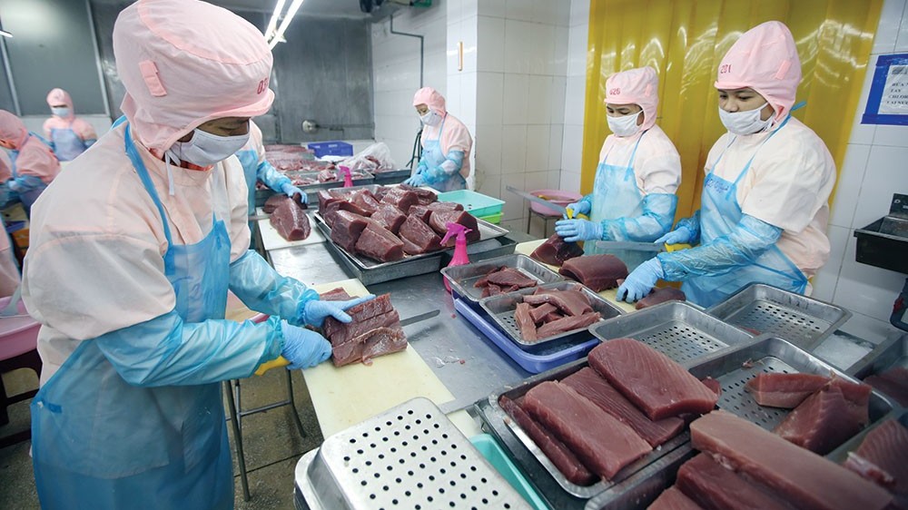 chop co hoi xuat hang sang anh nho ukvfta