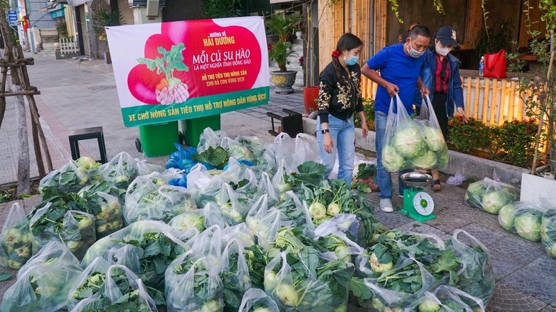 cuc xuc tien thuong mai bat tay san thuong mai dien tu ho tro tieu thu nong san