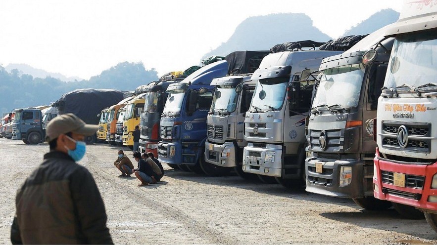 xuat khau ngay 7113 tim duong dai cho nong san viet sang trung quoc canh bao nguy co bi lua dao khi xuat khau dieu vao italy