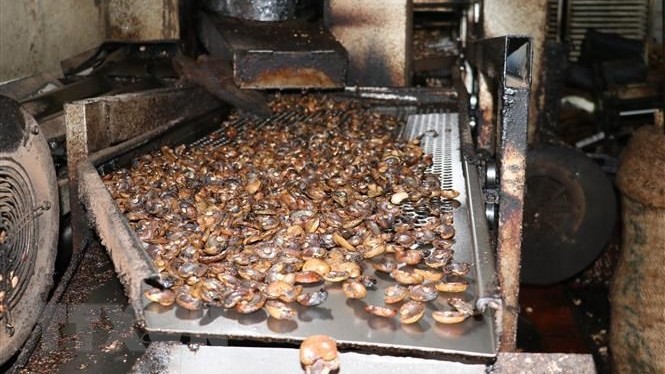 tich cuc ho tro doanh nghiep giai quyet container hat dieu tai italy