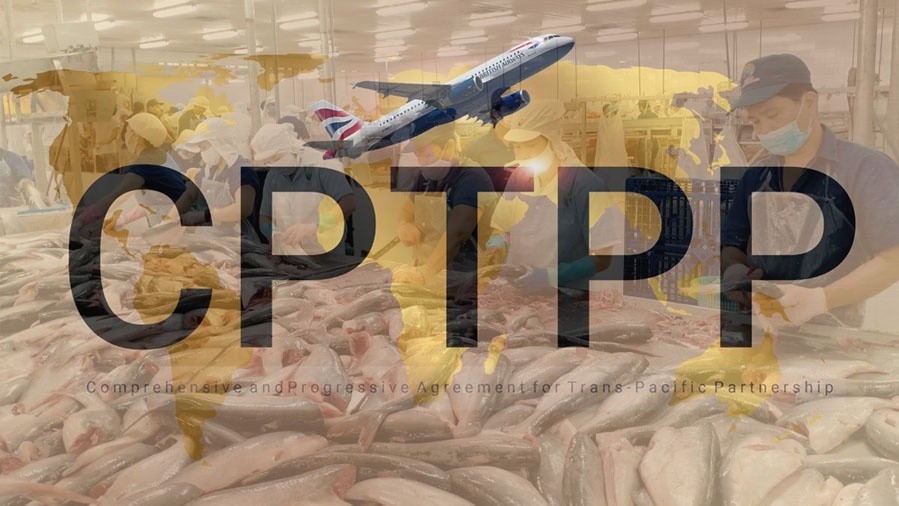 xuat khau ngay 19213 trien vong tich cuc tu thi truong cptpp ca phe rong cua vao eu