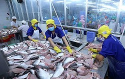 Quan ngại về 'sức khỏe' của doanh nghiệp