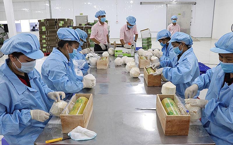 RCEP mang đến cơ hội phát triển cho các doanh nghiệp Việt Nam Báo Trung Quốc: RCEP mang đến cơ hội phát triển cho các doanh nghiệp Việt Nam