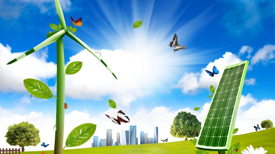 tang truong xanh kho nhung chac