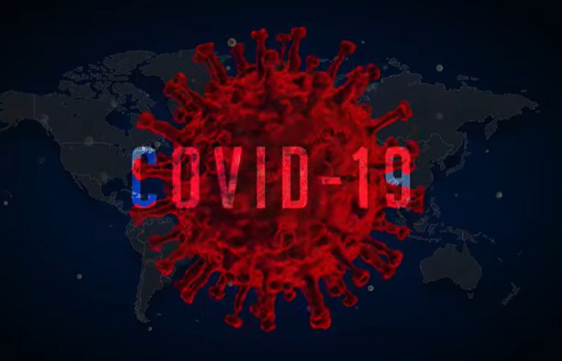 Phòng dịch Covid-19: Ra mắt phim ngắn kêu gọi không tiêu thụ động vật hoang dã