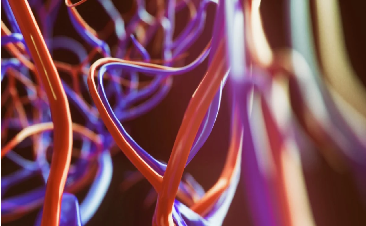 chuyen gia thuy sy virus sars cov 2 tan cong niem mac mach mau gay suy da tang