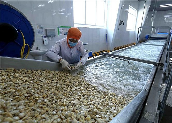 Xuất khẩu ngày 4-8/4: