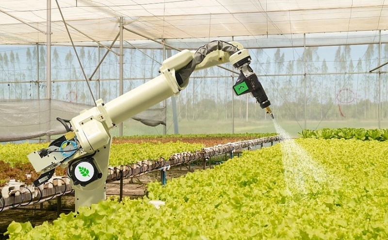 Nông nghiệp Ukraine 'ngấm đòn' khủng hoảng