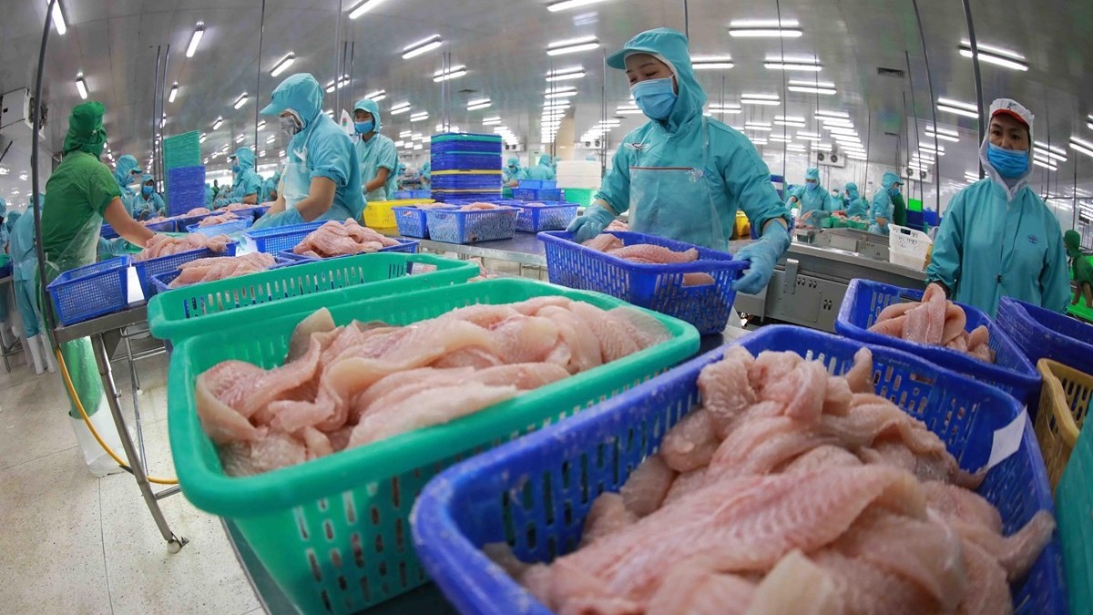 viet nam khong co doi thu xuat khau ca tra sang bac au