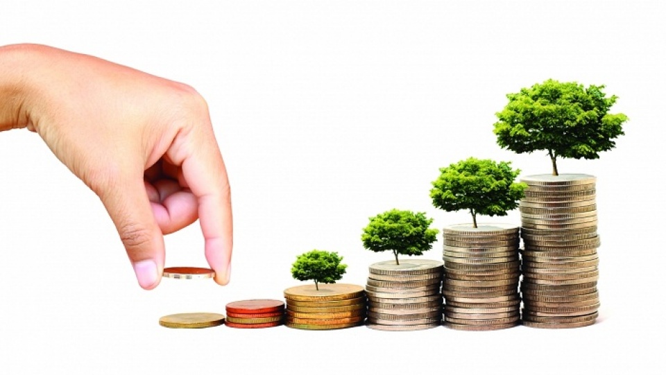 nguoi viet van han che ve kien thuc tai chinh