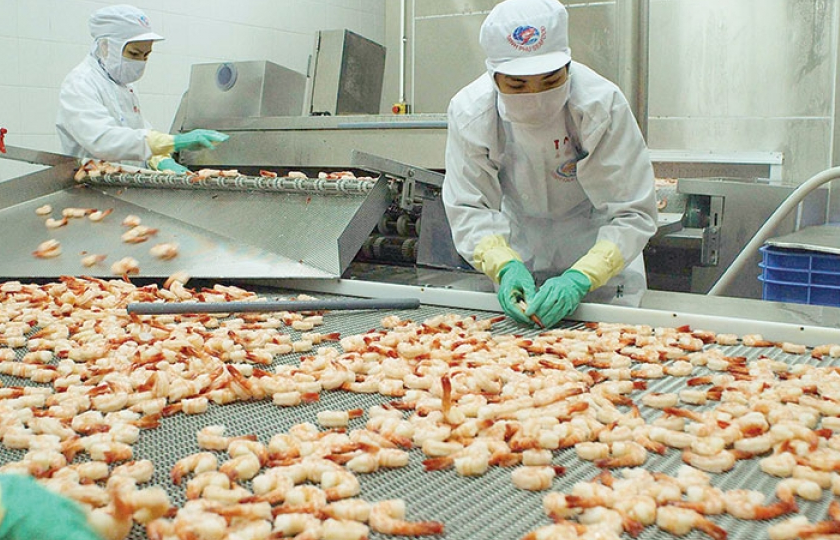 eu tiep tuc la thi truong hang dau cua tom viet nam