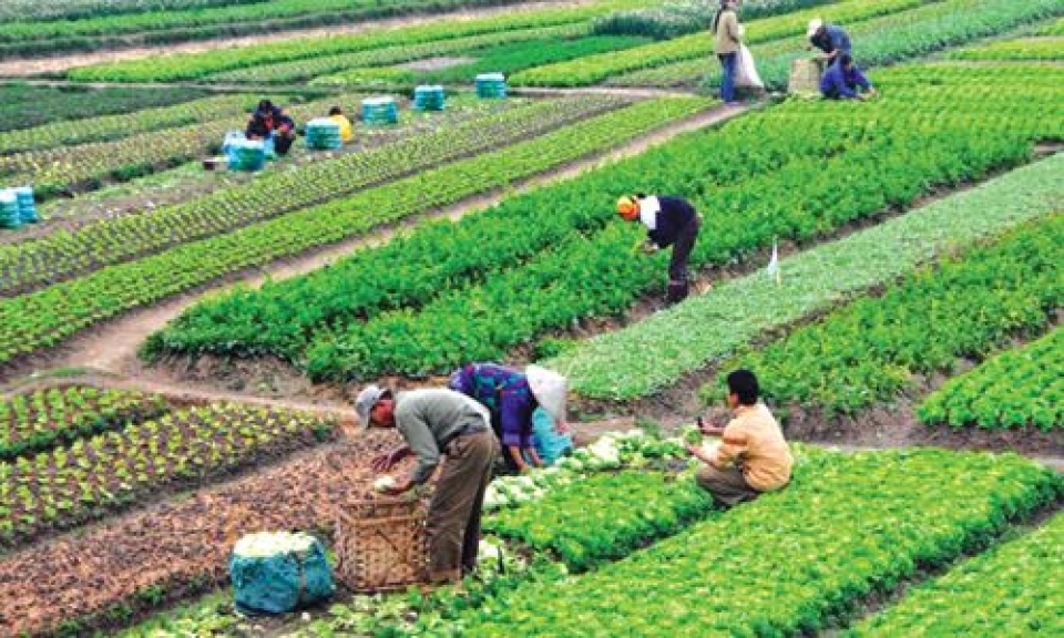 giai con khat von giup hop tac xa phat trien ben vung